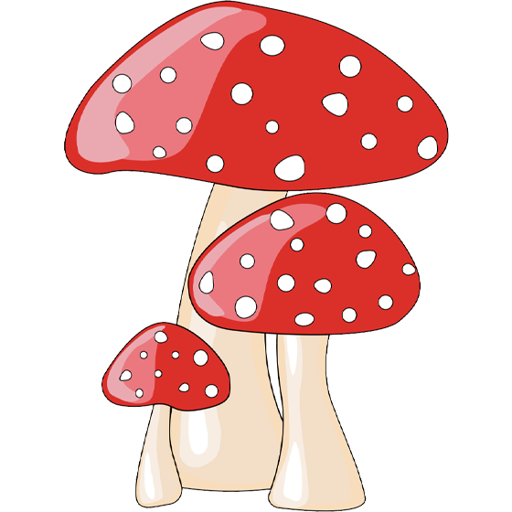 MUSHROOM