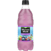 MINUTE MAID 20FL OZ BERRY PUNCH