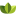 tobacco