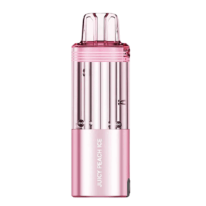 FOGER COMPATIBLE PODS JUICY PEACH ICE